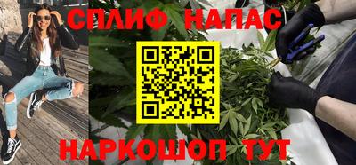 мдпв Будённовск