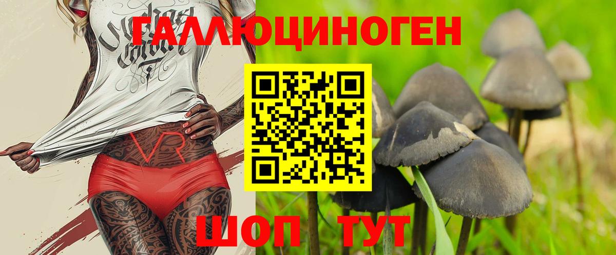Галлюциногенные грибы Psilocybine cubensis  Псилоцибиновые грибы мицелий  Вход с VPN  Челябинск 